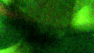 i feel so aroused by this fat booty shaking wildly