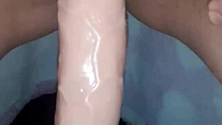 Vicio8586 shares update 4 on couple bets 2024