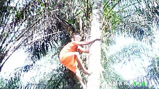 I met her in the bush fetching firewood while I was harvesting palm fruits, I helped her and she rewarded me with a good fuck