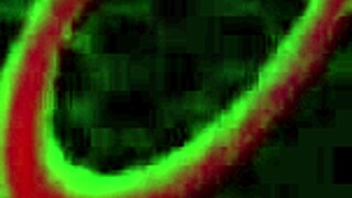 blonde with big ass rides big cock until creamed deep