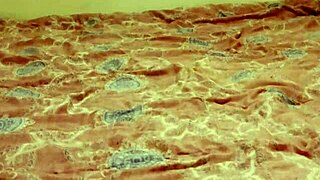 uh, guy catches girl out late drinkin', he won't tell if she lets him pound her tight ass, pussy, and mouth deep