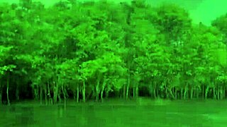 brazilian latina wife in bikini on boat ride... showing off her curves