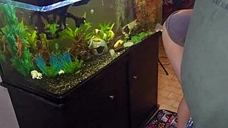 Friends Wife Fucking Dildo Hard While Two Buddies Cum All Over It!