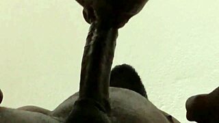 he came hard but i kept sucking his huge load down deep