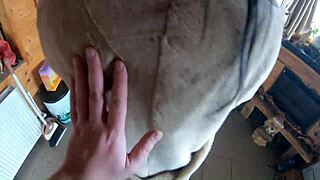 Narrative Cheating wife dances and plays seductively with her husband's friend while he is away on a business trip. His friend lies too and joins in the forbidden fun.