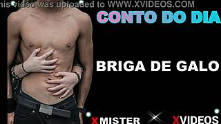 brazilian amateurs engage in intense cock fight