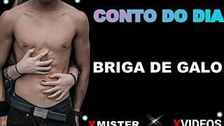 brazilian amateurs engage in intense cock fight