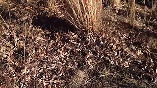 I cant get enough of this sexy red sluts wet blowjob on my monster cock