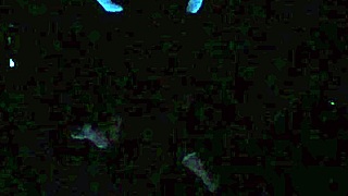 in a casual narrative, scarlett johnson dives into blacklight sex from a pov angle for the second time