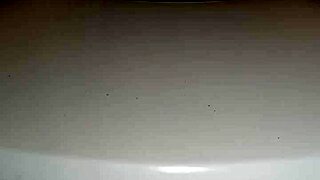 In a casual tale, Gretala notices strange rumori coming from the wc in her everyday setting