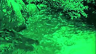 Vintage hairy orgy erupts in retro monster pussy frenzy!