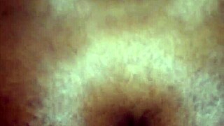 Trading hard ass fucks with this sexy Florida shemale cockslut