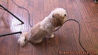 Tattooed punk goth sluts strip naked backstage